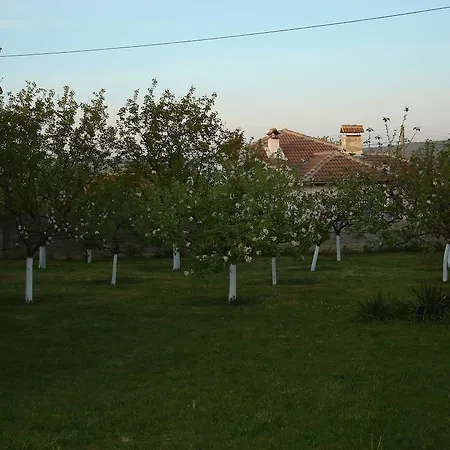 Perun Tatil Evi Bliznatsi